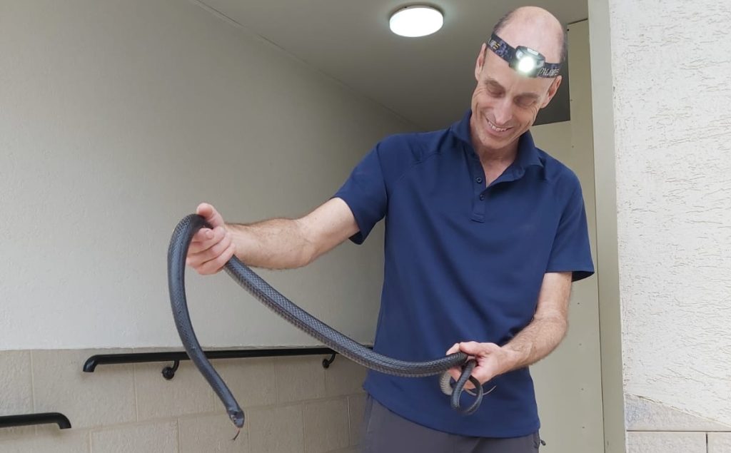 מאמר לדוגמא: לכידת נחשים מקצועית: הכלים והטכניקות שיבטיחו לך ביטחון 13 לוכד נחשים