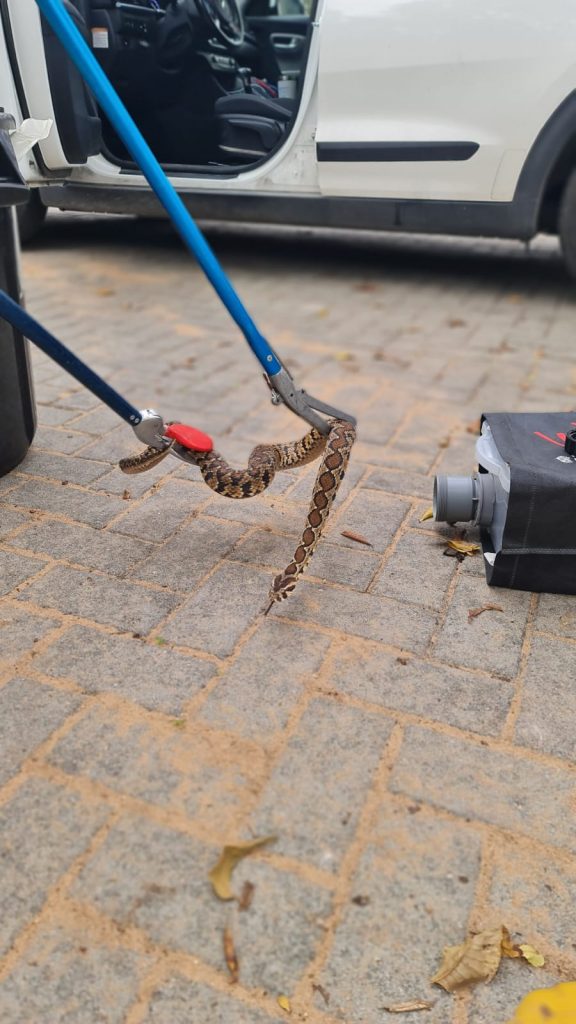 ציוד ללכידת נחשים