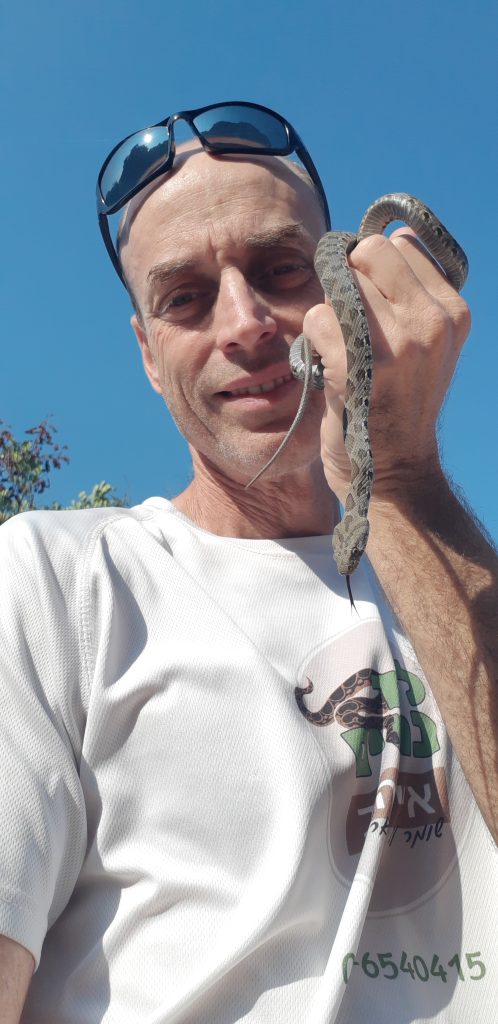 זעמן מטבעות 6 זעמן מטבעות 3