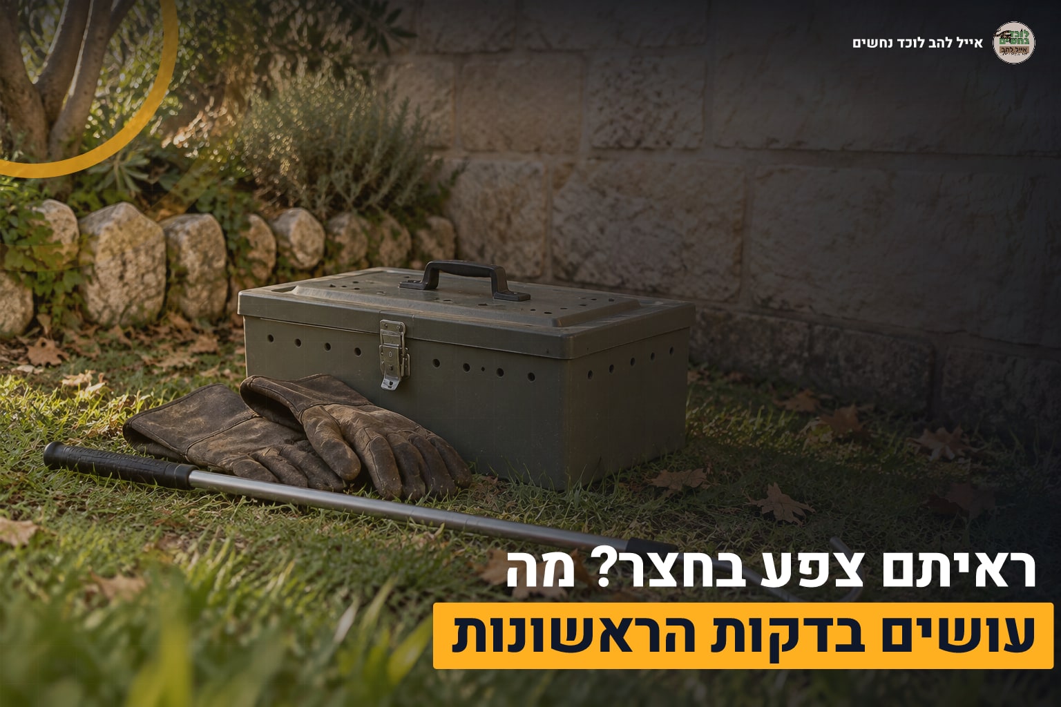 צפע בחצר