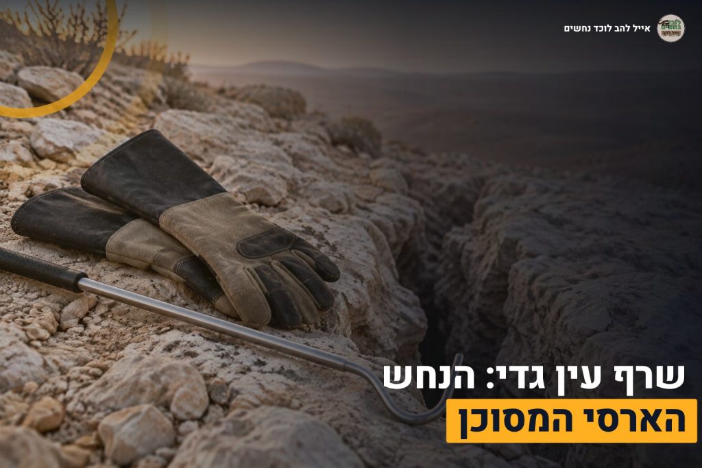 שרף עין גדי
